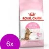 Royal Canin Fhn Kitten Sterilised – Kattenvoer – 6 X 2 Kg 1 Royal Canin Fhn Kitten Sterilised – Kattenvoer – 6 X 2 Kg -Pet Verkoop 1001x1200 2