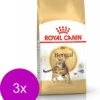 Royal Canin Bengal Adult – Kattenvoer – 3 X 2 Kg -Pet Verkoop 1034x1200