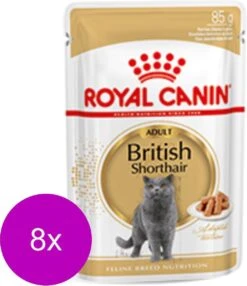 Royal Canin Fbn British Shorthair Adult Pouch – Kattenvoer – 8 X 12×85 G