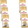 Royal Canin Fbn Persian Adult – Kattenvoer – 6 X 400 G -Pet Verkoop 1114x1200