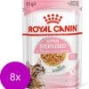 Royal Canin Kitten Sterilised Jelly – Kitten-Kattenvoer – 8 X 12×85 G -Pet Verkoop 1121x1200 1