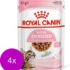Royal Canin Kitten Sterilised Gravy – Kitten-Kattenvoer – 4 X 12×85 G 2 Royal Canin Kitten Sterilised Gravy – Kitten-Kattenvoer – 4 X 12×85 G -Pet Verkoop 1121x1200