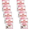 Royal Canin Kitten Loaf – Kitten-Kattenvoer – 8 X 12×85 G -Pet Verkoop 1131x1200 1