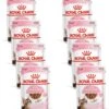 Royal Canin Kitten Sterilised Gravy – Kitten-Kattenvoer – 8 X 12×85 G -Pet Verkoop 1131x1200
