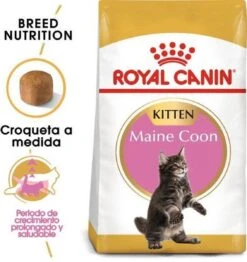 Royal Canin Maine Coon Kitten - Kattenvoer - 4 Kg -Pet Verkoop 1132x1200