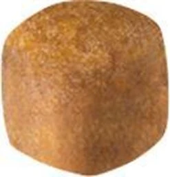 Royal Canin Maine Coon Kitten - Kattenvoer - 4 Kg -Pet Verkoop 1147x1200