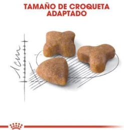 Royal Canin Sensible 33 - Kattenvoer - 10+2 Kg Bonusbag -Pet Verkoop 1149x1200 1