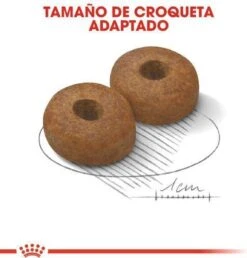 Royal Canin Maxi Ageing 8+ 15 KG -Pet Verkoop 1149x1200 2