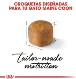 Royal Canin Maine Coon Kitten - Kattenvoer - 4 Kg -Pet Verkoop 1151x1200