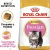 Royal Canin Persian Kitten β Kattenvoer β 10 Kg 2 Royal Canin Persian Kitten β Kattenvoer β 10 Kg -Pet Verkoop 1156x1200