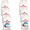 Royal Canin Indoor Long Hair – Kattenvoer – 6 X 400 G -Pet Verkoop 1161x1200 1