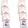 Royal Canin Fhn Sterilised 7plus – Kattenvoer – 6 X 400 G -Pet Verkoop 1161x1200 2