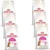 Royal Canin Fhn Protein Exigent – Kattenvoer – 6 X 400 G 1 Royal Canin Fhn Protein Exigent – Kattenvoer – 6 X 400 G -Pet Verkoop 1161x1200 3