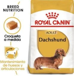 Royal Canin Dachshund/Teckel Adult 7.5 KG -Pet Verkoop 1162x1200