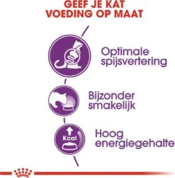 Royal Canin Sensible 33 - Kattenvoer - 10+2 Kg Bonusbag -Pet Verkoop 1178x1200