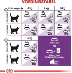 Royal Canin Sensible 33 - Kattenvoer - 10+2 Kg Bonusbag -Pet Verkoop 1179x1200