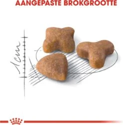 Royal Canin Sensible 33 - Kattenvoer - 10+2 Kg Bonusbag -Pet Verkoop 1185x1200 2