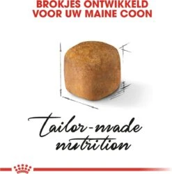Royal Canin Maine Coon Kitten - Kattenvoer - 4 Kg -Pet Verkoop 1187x1200