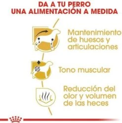 Royal Canin Dachshund/Teckel Adult 7.5 KG -Pet Verkoop 1190x1200