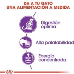 Royal Canin Sensible 33 - Kattenvoer - 10+2 Kg Bonusbag -Pet Verkoop 1197x1200 1