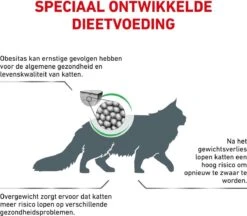 Royal Canin Satiety Weight Management - Kattenvoer - 6 Kg -Pet Verkoop 1200x1050