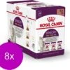 Royal Canin Sensory Multipack Mix – In Gravy – Kattenvoer – 8 X 12×85 G -Pet Verkoop 1200x1062
