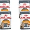 Royal Canin Fhn Adult Intense Beauty Mp Pouch – Kattenvoer – 4 X 12×85 G -Pet Verkoop 1200x1068