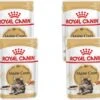 Royal Canin Fbn Maine Coon Adult Pouch – Kattenvoer – 4 X 12×85 G -Pet Verkoop 1200x1068 3