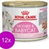 Royal Canin Wet Mother & Babycat Mousse – Kattenvoer – 195 Gr -Pet Verkoop 1200x1081