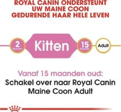 Royal Canin Maine Coon Kitten - Kattenvoer - 4 Kg -Pet Verkoop 1200x1114 1