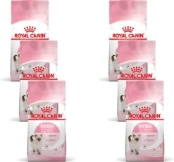 Royal Canin Fhn Kitten – Kattenvoer – 6 X 2 Kg