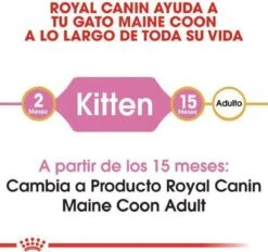 Royal Canin Maine Coon Kitten - Kattenvoer - 4 Kg -Pet Verkoop 1200x1127