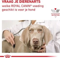 Royal Canin Hypoallergenic - Hondenvoer - 14 Kg -Pet Verkoop 1200x1161