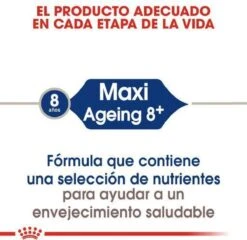 Royal Canin Maxi Ageing 8+ 15 KG -Pet Verkoop 1200x1164 1