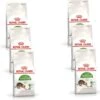 Royal Canin Fhn Outdoor – Kattenvoer – 6 X 400 G -Pet Verkoop 1200x1170 1