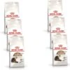Royal Canin Fhn Ageing 12plus – Kattenvoer – 6 X 400 G -Pet Verkoop 1200x1170