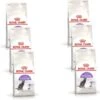 Royal Canin Fhn Sterilised 37 – Kattenvoer – 6 X 400 G -Pet Verkoop 1200x1178 1
