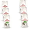 Royal Canin Fhn Outdoor 7plus – Kattenvoer – 6 X 400 G -Pet Verkoop 1200x1178