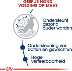 Royal Canin Maxi Ageing 8+ 15 KG -Pet Verkoop 1200x1192