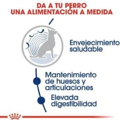 Royal Canin Maxi Ageing 8+ 15 KG -Pet Verkoop 1200x1197