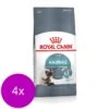 Royal Canin Fcn Intense Hairball 34 – Kattenvoer – 4 X 4 Kg 1 Royal Canin Fcn Intense Hairball 34 – Kattenvoer – 4 X 4 Kg -Pet Verkoop 1200x1200 1