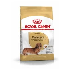 Royal Canin Dachshund/Teckel Adult 7.5 KG -Pet Verkoop 1200x1200 12