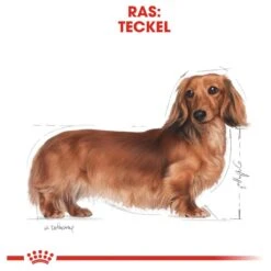 Royal Canin Dachshund/Teckel Adult 7.5 KG -Pet Verkoop 1200x1200 13