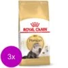 Royal Canin Fbn Persian Adult – Kattenvoer – 3 X 2 Kg -Pet Verkoop 1200x1200 4