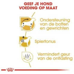 Royal Canin Dachshund/Teckel Adult 7.5 KG -Pet Verkoop 1200x1200 9