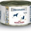 Royal Canin Recovery Feline/Canine – Kattenvoer – 12 X 195 G 2 Royal Canin Recovery Feline/Canine – Kattenvoer – 12 X 195 G -Pet Verkoop 1200x944