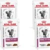 Royal Canin Veterinary Diet Renal Beef Wet – Kattenvoer – 4 X 12×85 G -Pet Verkoop 1200x979