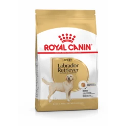 Royal Canin Labrador Retriever Adult – Hondenvoer – 3 Kg