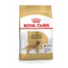 Royal Canin Golden Retriever Adult – Hondenvoer – 3 Kg -Pet Verkoop 3182550743433 1