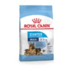 Royal Canin Maxi Starter Mother & Babydog β Puppy-Hondenvoer β 15 Kg 1 Royal Canin Maxi Starter Mother & Babydog β Puppy-Hondenvoer β 15 Kg -Pet Verkoop 3182550778787 1